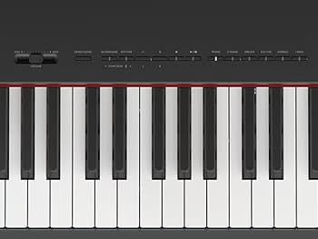 Amazon | 【ヘッドホン＆サスティンペダル付き】【P125α後継機種