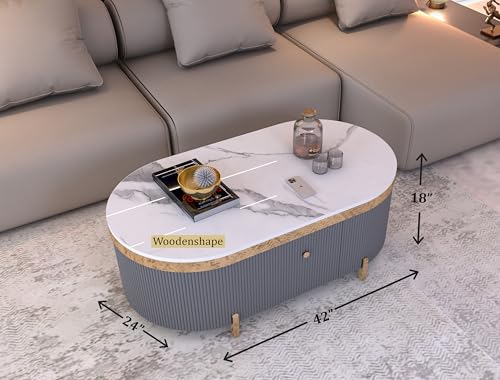 Image of Premium Marble-Top Center Table with One Storage Door and PVD Coated lron Legs and Coffee Table with Oval Design for Living Room and Entryway [ Modern coffee table ] ,42x24x18 Inch, (Gray)