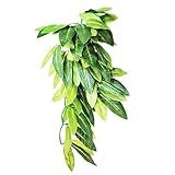 Decoración perfecta para peceras, acuarios y terrarios de reptiles.