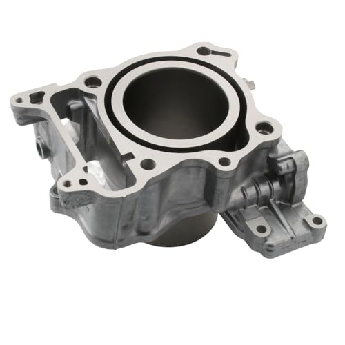 Kit de bloque de cilindros 300cc SH300i compatible con repuestos de motor scooter 2007-2020 2