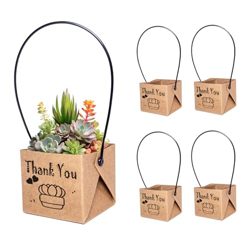 ALLWSLucky 50 Pcs Mini Cajas De Suculentas, 5,1 cm Maceta de papel para plantas suculentas, Bolsas para Envolver Suculenta, Envoltorios de suculenta con asas de plástico (Marrón, 50pcs)