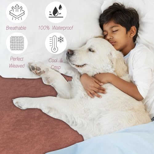 Image of Stylista 100% Waterproof Premium Cotton Feel Mattress Protector King Size 78x72 Inches | Breathable and Hypoallergenic Ultra Soft Fitted Bed Protector Cover (78 inchx72 inch King, Coffee)| One Year Warranty