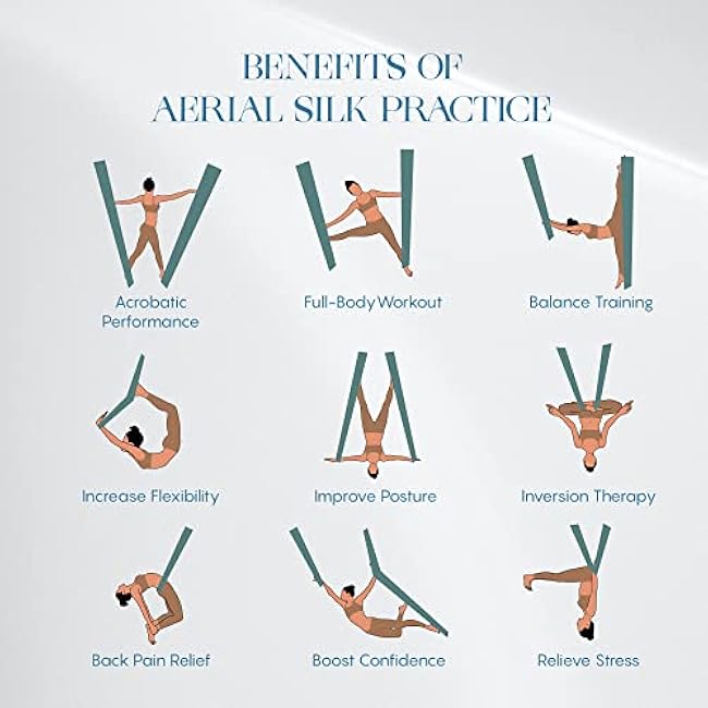 Aerial Silks Yoga Swing Kit 11 Yards | Durable for Home Gymnastics Acrobatic Flying Yoga | Tricot Fabric with Hardware, Swivel & Guide(Rigging Point Up to 18ft)