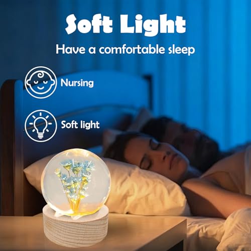 Image of Blue Daisy Lamp,2.4-Inch Flower Crystal Ball Night Light, Real Daisy Inside with Wood Base, Warm Bedroom Glow (Blue Daisy)