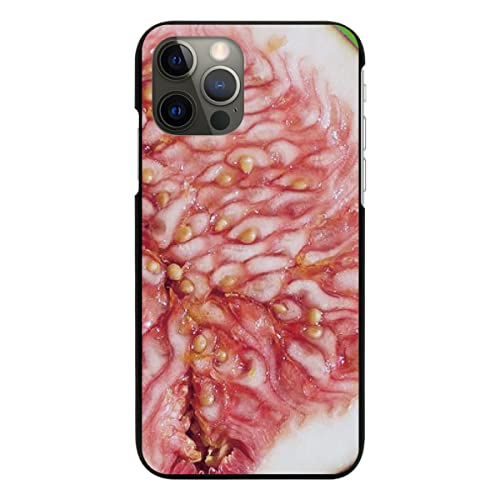 Xperia 10 VII SOG16 p P[X ubN Jo[ X}zP[X X}zJo[ ^ sc890-black(Q) t[c ʕ  C`WN ԉ gуP[X gуJo[ n[h v