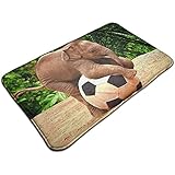 ★Matériau soigné : le paillasson est fabriqué en polyester et caoutchouc de qualité, doux au toucher et durable à utiliser, le support antidérapant peut le maintenir stable sur le sol sans glisser facilement, plus sûr et plus fiable à utiliser ; facile à nettoyer et à laver en machine, secouez simplement le tapis, la saleté s'en ira.