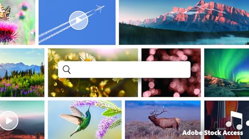 Image of Adobe Photoshop Elements & Premiere Elements 2026 | Software Download | Photo & Video Editing | 3-year term license | Activation Required [PC /Mac Online Code]
