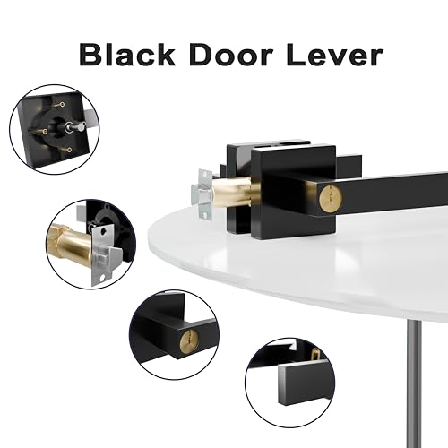 Image of 28 inch x 80 inch Interior Door, 5-Lite Frosted Glass Pantry Door with Black Door Lever, Single Slab Door Panel for Closet & Bedroom, Classic Style as Prehung, Pocket, Bifold, Barn Doors