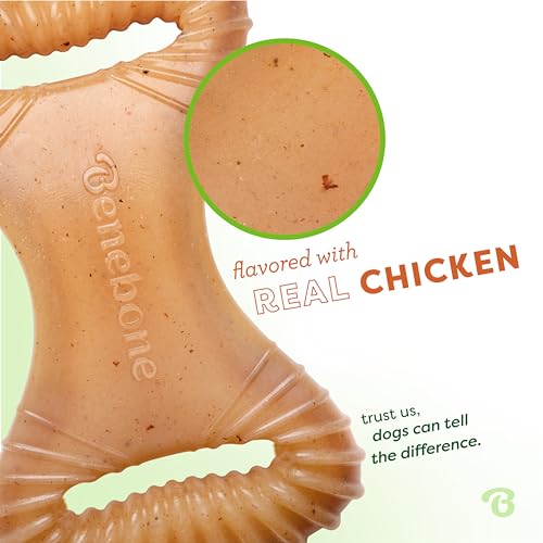 Image of Benebone Dental Durable Dog Chew Toy for Aggressive Chewers, Real Chicken, Made in USA, Small