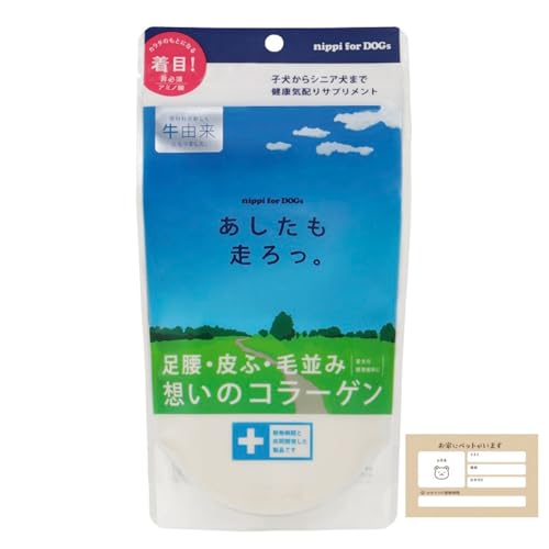 T-LAB jbs B Tv ֐ pR[QTvg EӁEѕ݃PA 40g 1܁i5kǧ 1jOogуJ[ht