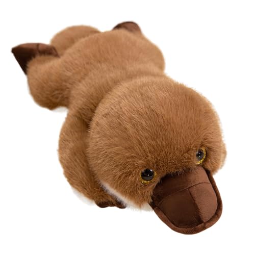 �ʂ������ �J���m�n�V ������ ���� �Q������ �傫�� �����n ���� �C������ �ӂ�ӂ� �w���� �_�炩�� ���a���� �t�@�[�X�g�g�C �q�� �ޏ� 80cm �o�Y�j�� �N���X�}�X �u���E�� �v���[���g �M�t�g