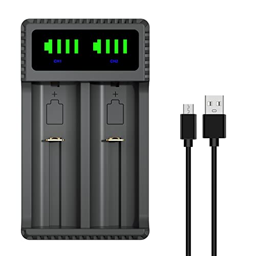 DuraPro 4X Akku AAAA Batteries + LED USB Ladegerät für Stylus Pens, Stirnlampen, Quadruple A,Quad A,E96, LR61,4061,MN2500,GP25A