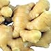 Fresh Wild Turmeric & Ginger Combo - By Nine Shani (1lb)