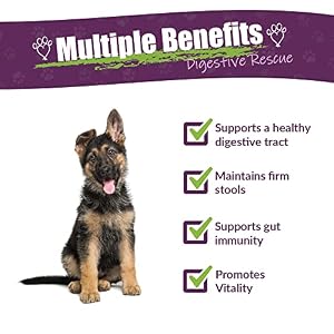 Amber NaturalZ Paxaid Digestive Rescue Herbal Supplement for Dogs and Puppies | Canine Herbal Supplement for Occasional Digestive Upset Support | 4 Fluid Ounce Glass Bottle | Manufactured in The USA Amber NaturalZ Paxaid Digestive Rescue Herbal Supplement for Dogs and Puppies | Canine Herbal Supplement for Occasional Digestive Upset Support | 4 Fluid Ounce Glass Bottle | Manufactured in The USA