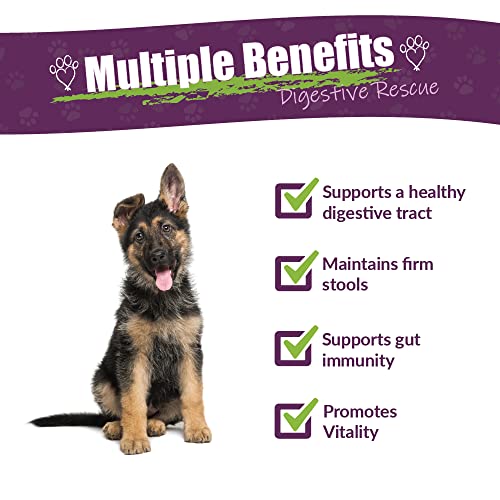 AMBER NATURALZ Paxaid Digestive Rescue Herbal Supplement for Dogs and Puppies | Canine Herbal Supplement for Occasional Digestive Upset Support | 4 Fluid Ounce Glass Bottle | Manufactured in The USA - Image 3