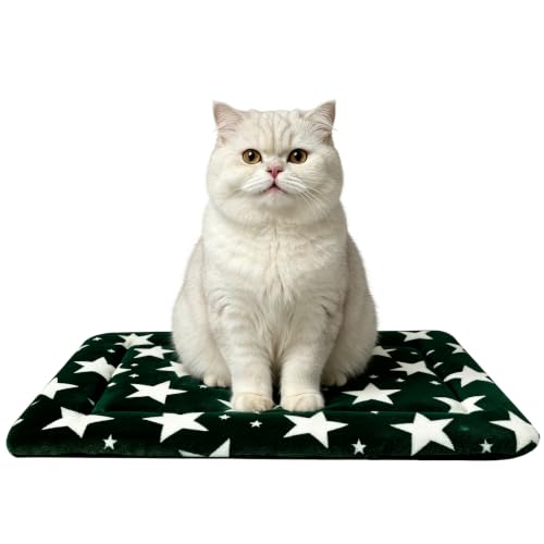 Dog Bed Mat – Soft & Comfortable Dog Kennel Pad for Crate – Durable Crate Bed & Mat for Dogs & Cats – Ideal for Crate, Kennel, and Home Use (Big&Little Stars Green, XS(18"*14"*1.5"))