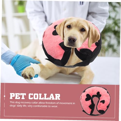 Collier gonflable chat pour une convalescence sereine à la maison - 6