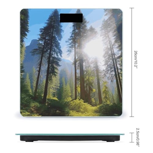 Báscula digital de baño JTREHY con pantalla LCD miniatura 2