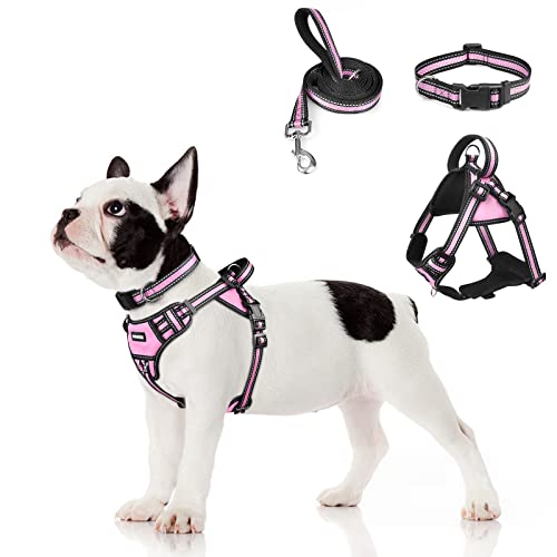 Winsee Step In Dog Harness Collar And Leash Set, All-In-One Reflective No Escape Dog Harness With Adjustable Buckles For Pet Puppies, Small, Medium, Large, And Extra-Large Dogs #TOP30