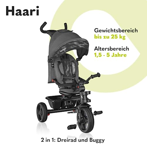 Dreirad Lionelo Haari 2in1 mit Schubstange für Kinder ab 18 Monaten