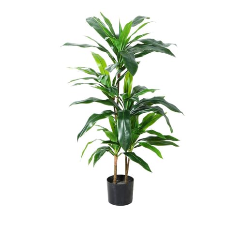 [LJKI] tFCNO[ ^ lHϗtA  L R { A  CeA O[1 lH A 傫 ze rO j JXj hZi Ղ 蕨 150cm v[g Mtg zj