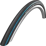 Schwalbe