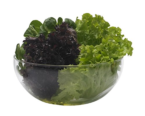 Trendglas Jena Schüssel, 1 Liter