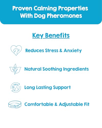 PAWD Calming Collar for Dogs – Vet Recommended Anxiety Relief with Pheromones, Lavender & Chamomile – Up To 120 Days – Adjustable Fit – Ideal for Fireworks, Travel & Separation (Small) - Image 2