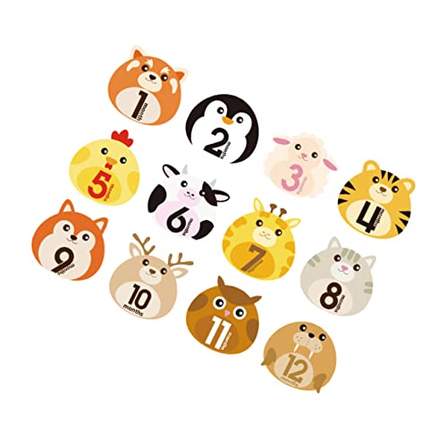 Alasum Ԃ̌ԃXebJ[ 12V[g Vp}CXg[XebJ[ hJԂ\t\Ȏʐ^L^p^O 玙tHgLOObY