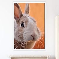 Framed Canvas Wall Art Bunny Animals Bedroom Expressive Multicolor Photography Rabbit Rustic - 16x24 inches