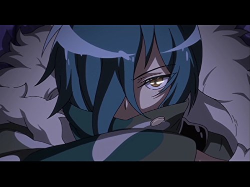 COLLECTION 13 「Silver Hornet」 COLLECTION 13 「Silver Hornet」