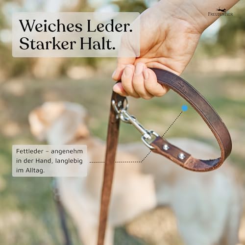 FREUDENTIER Hundeleine Leder 2m - Lederleine verstellbar - Führleine aus Fettleder für kleine, mittelgroße & große Hunde - Alsterufer Kollektion (Chocolate, 12mm breit)