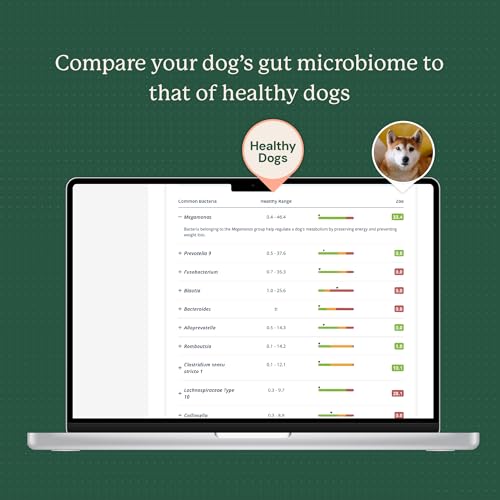 Image of AnimalBiome Dog Gut Health Analysis Kit, US Doggy Biome Collection Kit | Mail-In Canine Fecal Analysis Service for Digestive Health Issues, Diarrhea & Allergy Insights, Personalized Report Plan