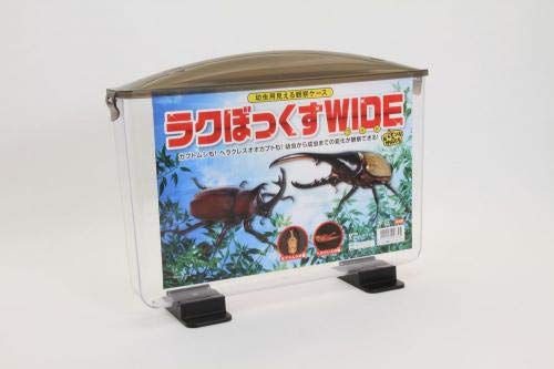 Amazon | 見える観察ケース ラクぼっくすWIDE(ワイド) | 月夜野きのこ