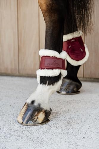 Protège boulet Young horses Velvet bordeaux de qualité supérieure