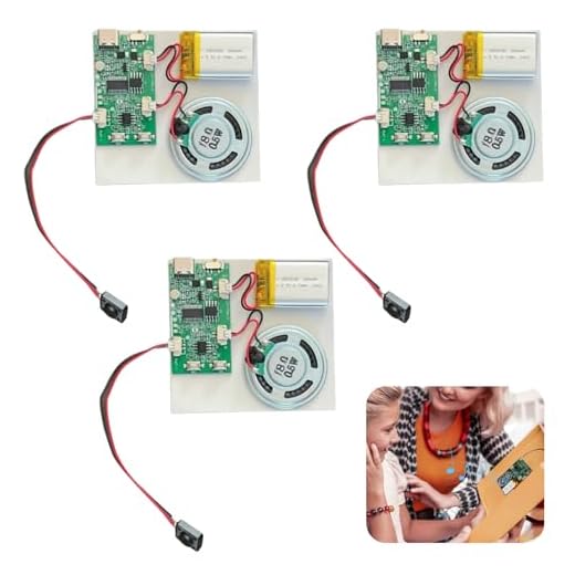 USB Soundmodul Bespielbar MP3 mit Lautsprecher, 3 Stück Musik Sprachaufzeichnungsmodul, Recordable Voice Module mit Aufladbarer Akku & Kabel für DIY Karten Spielwaren Geschenke