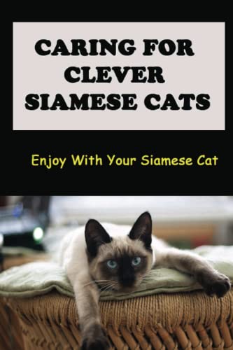 Caring For Clever Siamese Cats: Enjoy With Your Siamese Cat