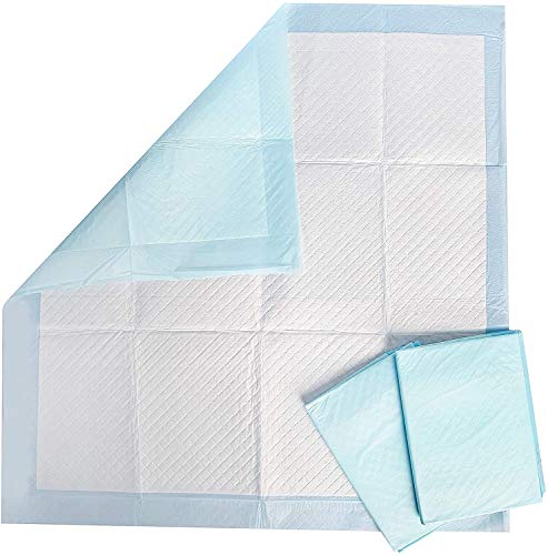 All-Absorb A01 Training Pads 22-inch by 23-inch,Pack of 100 (Pack May Vary) - Thumbnail 2