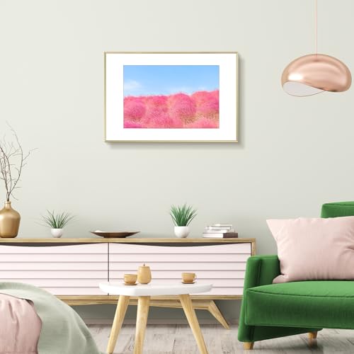 Frametory, Aluminium-Bilderrahmen, 40,6 x 61 cm, goldfarbener Rahmen mit herausnehmbarer Matte für 30,5 x 45,7 cm große Fotos, 61 x 40… – Ansicht 7