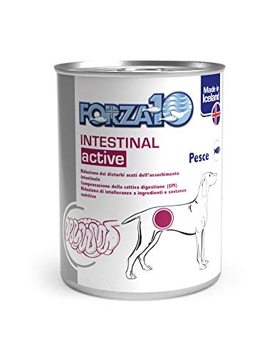 SANYPET FORZA10 – Intestinal Active con pescado – 300 gr