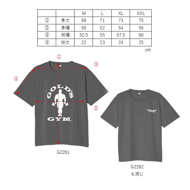 Amazon.co.jp: ゴールドジム(GOLD'S GYM) EXゴールズドライTシャツ
