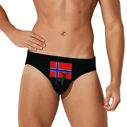 Norwegian Flag and Deer Printed Swim Briefs for Men Sexy Bikini Swimwear Elastic Beach Trunks Bathing Suit