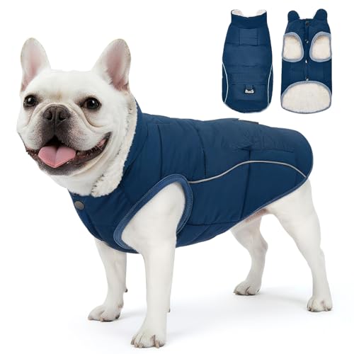 Manteau hiver SlowTon pour chien polaire doublé bleu XS