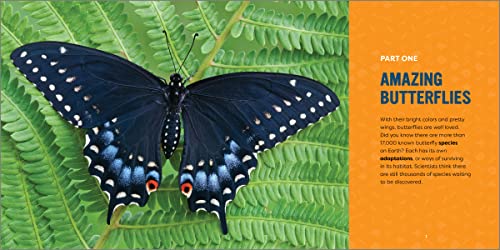 Butterflies for Kids: A Junior Scientist's Guide to the Butterfly Life Cycle and Beautiful Species