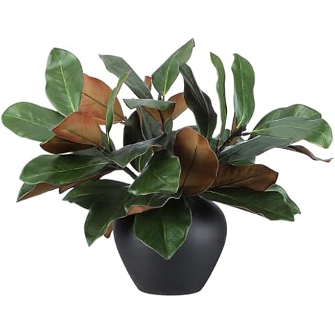 Thiccywoov 6 Pcs Magnolia Leaves Cover