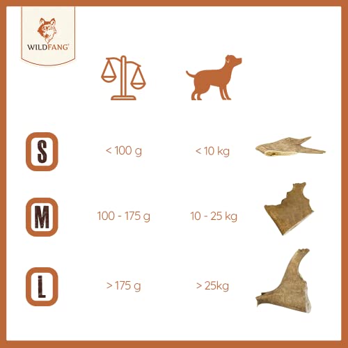Wildfang® Damhirsch-Geweih – Geweihe für Hunde, Kauspielzeug und Kauartikel aus Hirschgeweih – Größe M für Hunde von 10–25 kg, 1er Pack