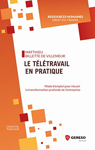 Télécharger Le télétravail en pratique: Mode d'emploi pour réussir la transformation profonde de l'entreprise PDF Ebook En Ligne