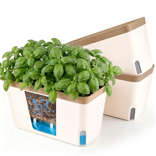 T4u Maceta autorriego Rectangular 27 cm, Set 3, maceteros Decorativos Interior, Plantas pequeñas hogar Oficina, riego reducido, Uso práctico, no Apto Vegetales Grandes sensibles Humedad