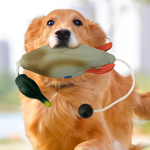 JINGAN Hunde-Stoßfänger zum Wasserholen, Enten-Stoßfänger-Spielzeug - Hunde-Retriever-Trainingsspielzeug | Jagdhundezubehör, Entenspielzeug für Hunde, Simulationstier in Form für Welpen