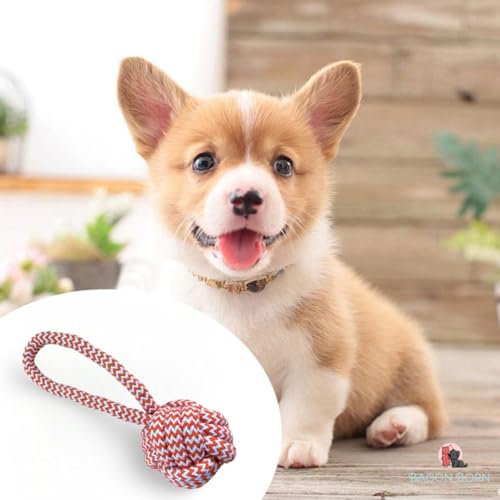 Brinquedo Cachorro Pet Cães Corda Pequena com puxador Mordedor Pet Cães Cachorros Shitzu Pinscher Lh